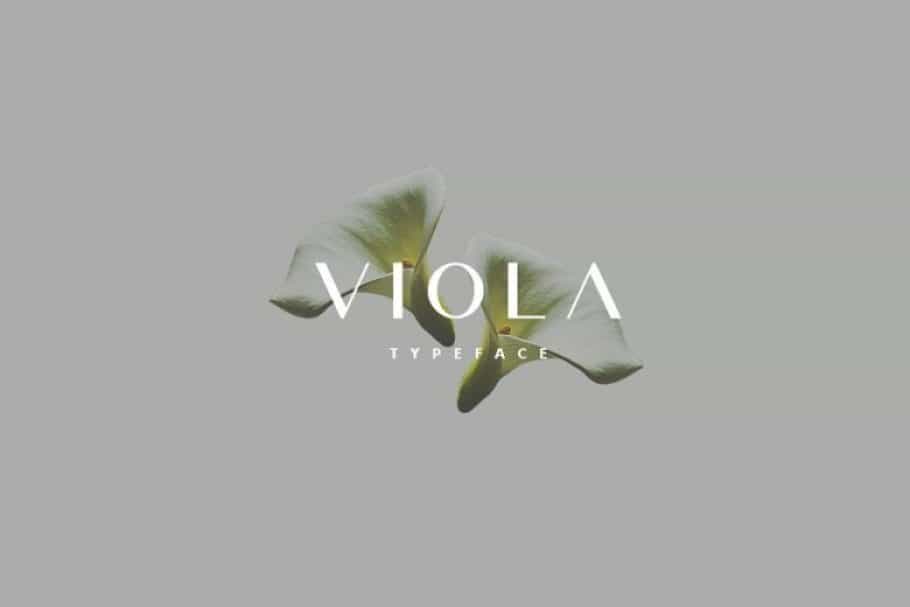 Viola Typeface Image 1