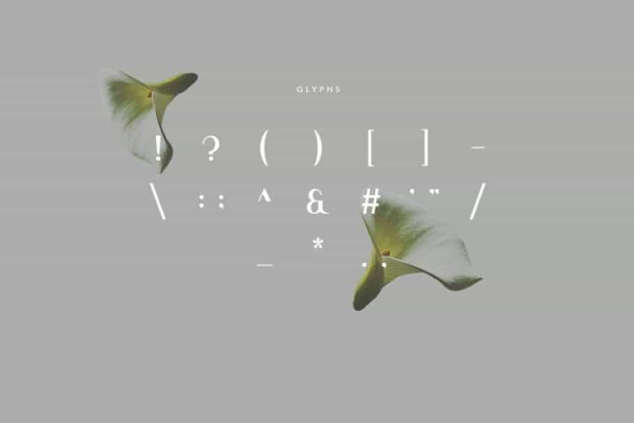 Viola Typeface Image 3