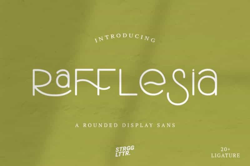 Rafflesia Font Image 1