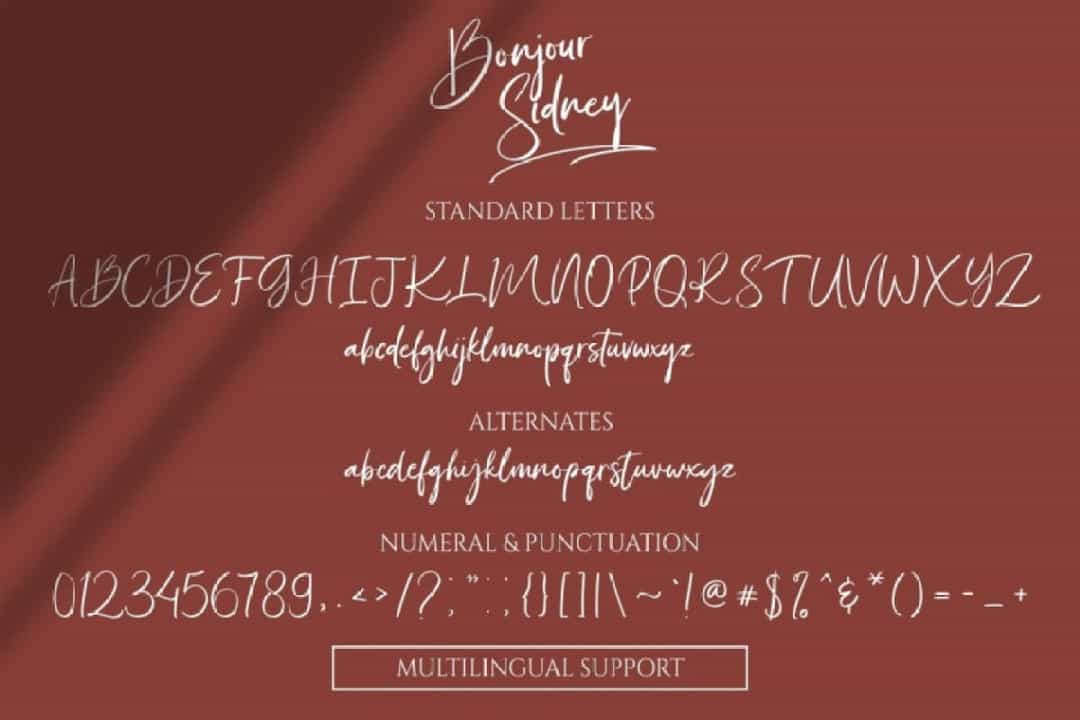 Bonjour Sidney Font Image 3