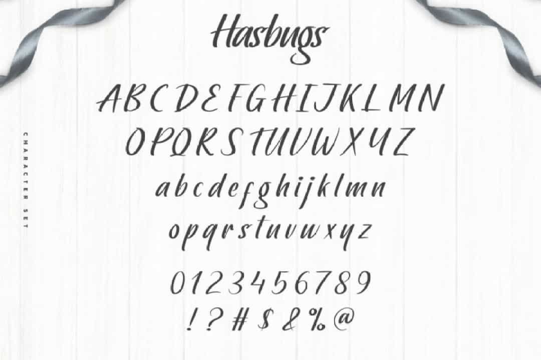 Hasbugs Font Image 3