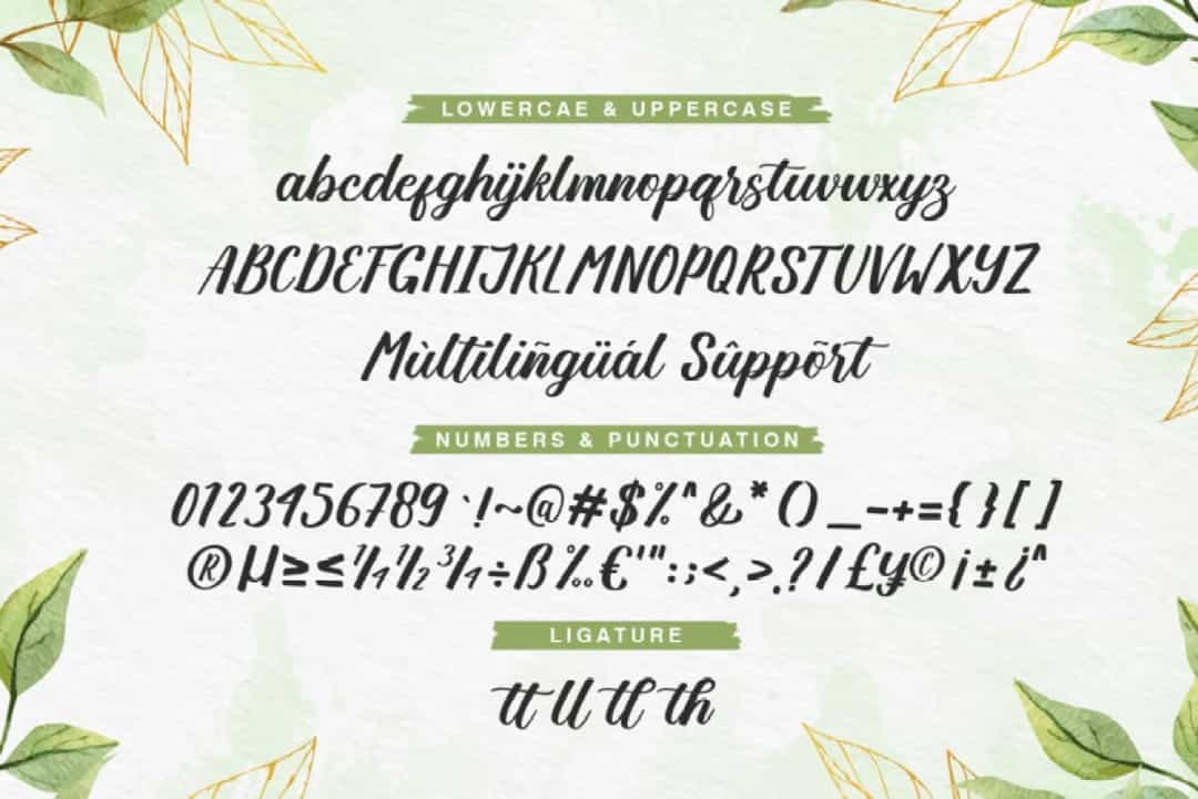 Angellya Font Image 3