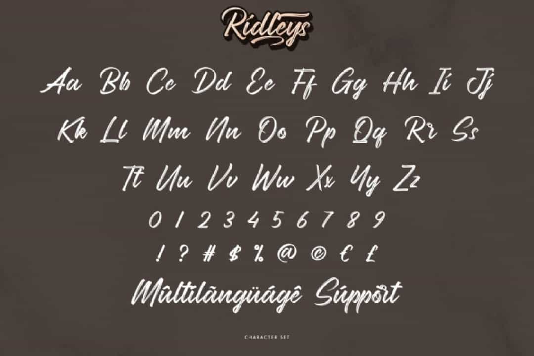 Ridleys Font Image 3