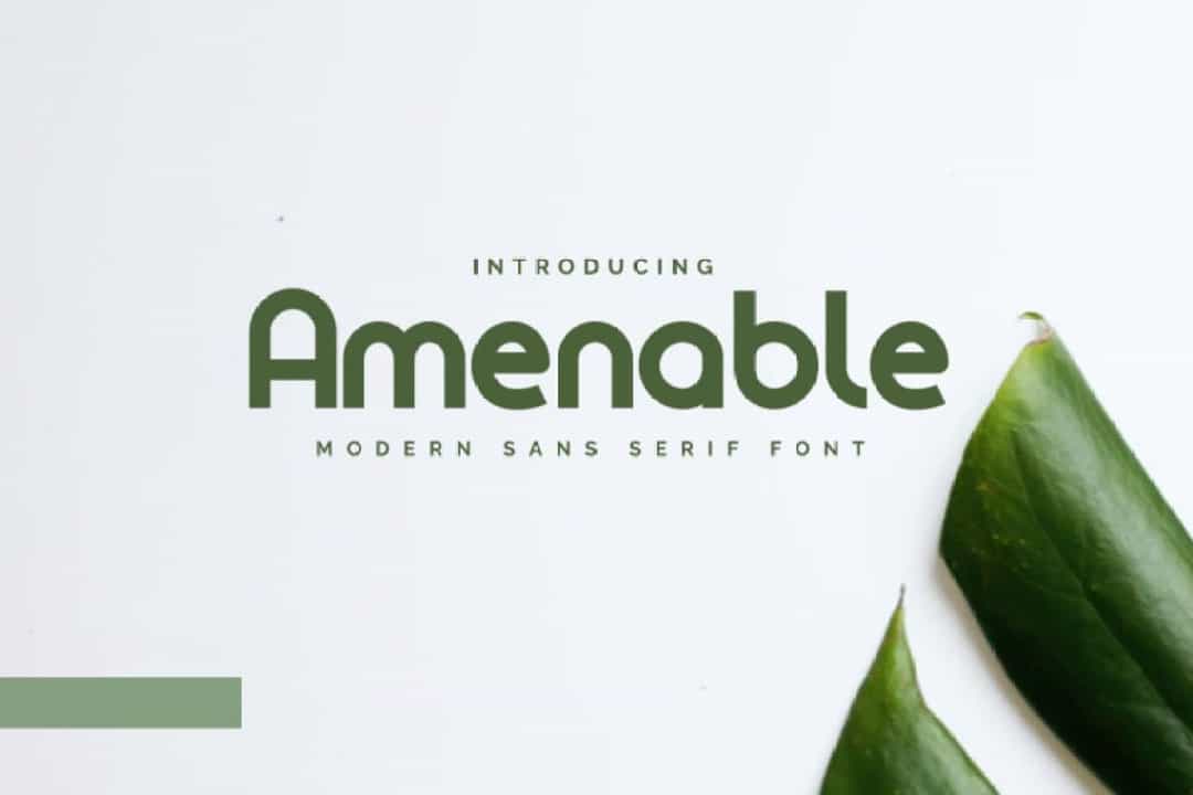 Amenable Font Image 1
