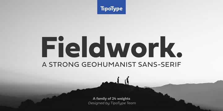 Fieldwork Font Family Image 1