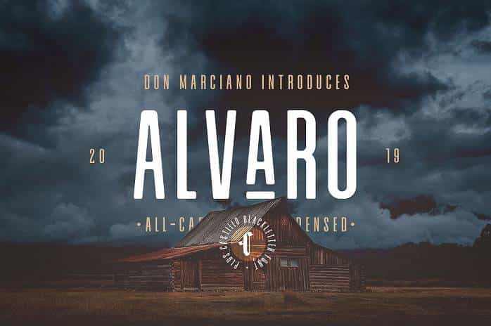Alvaro Condensed Font Duo Image 1
