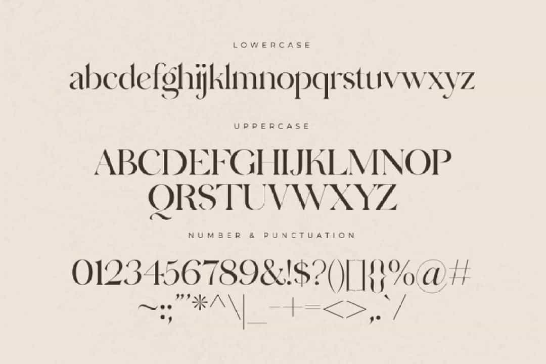 Hermione Typeface Image 3