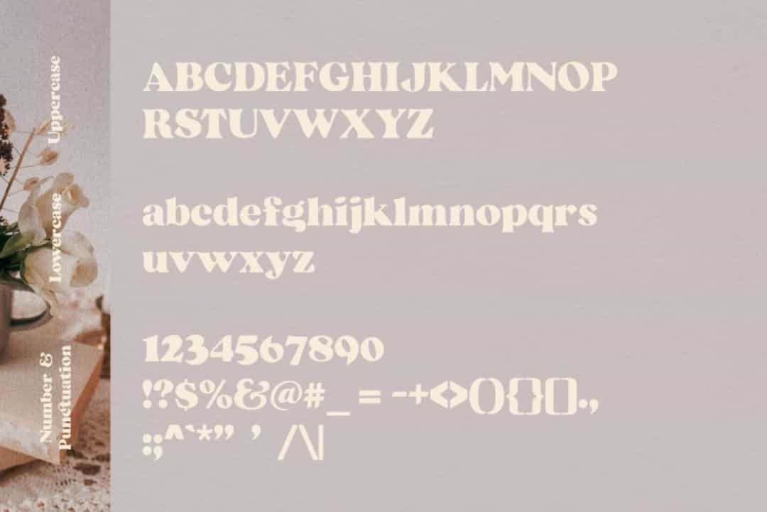 Beatrice Font Image 3