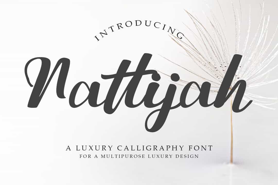 Nattijah Font Image 1