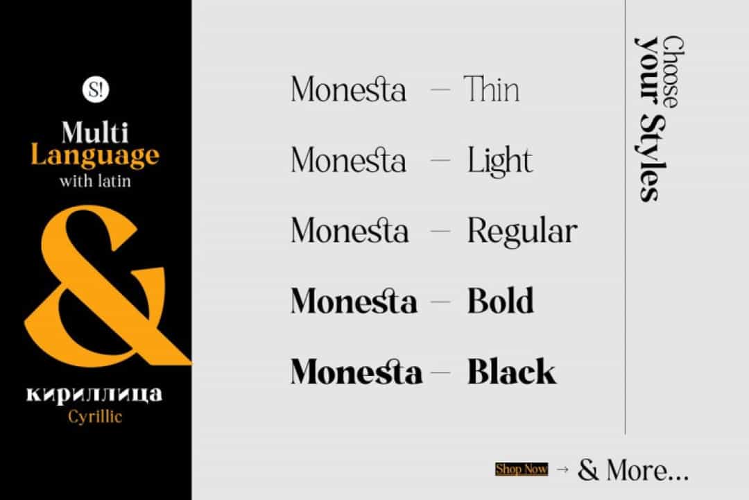 Monesta Font Image 2