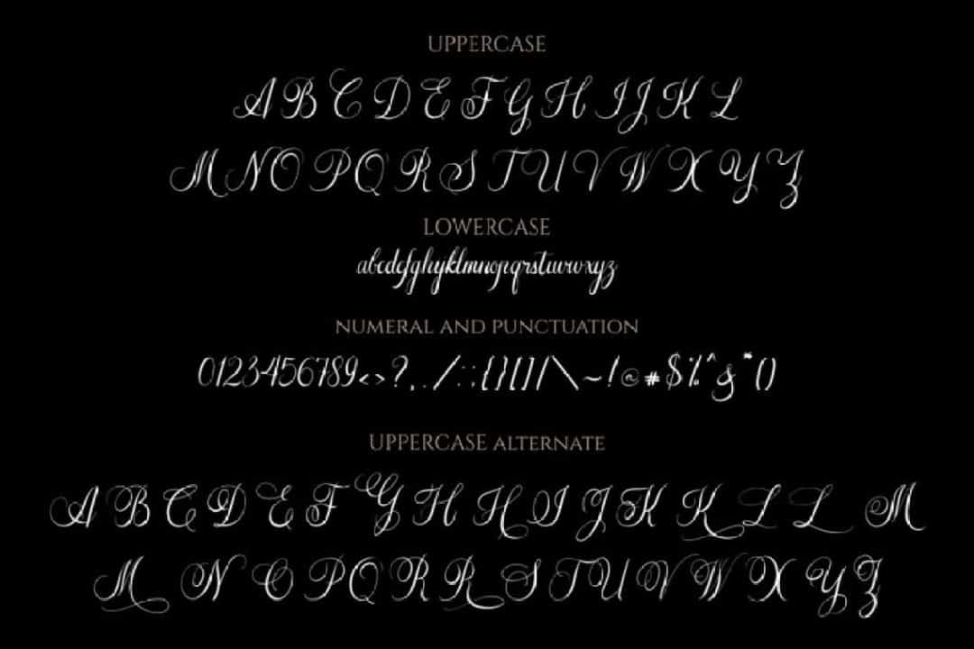 The Adalyne Script Font Image 3