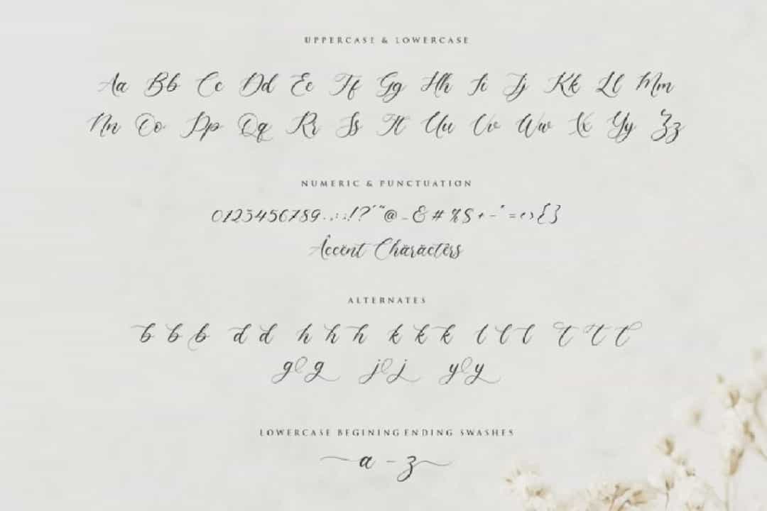 Claytona Font Image 3