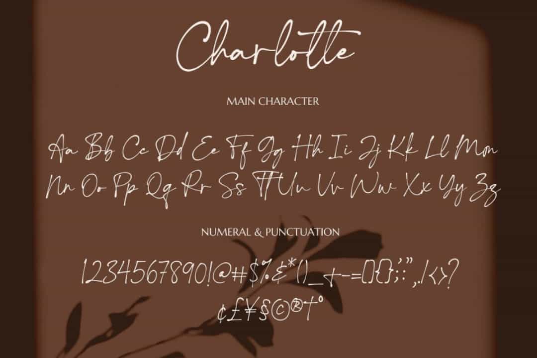 Charlotte Font Image 3