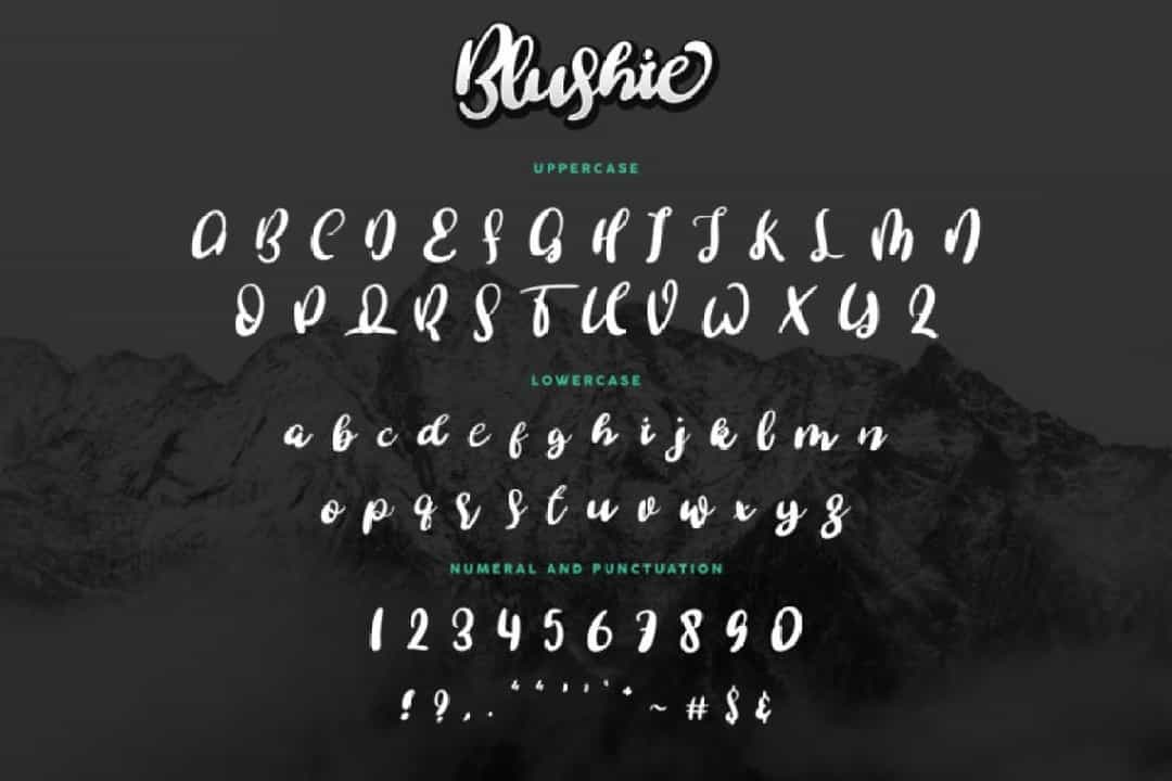 Blushie Font Image 2