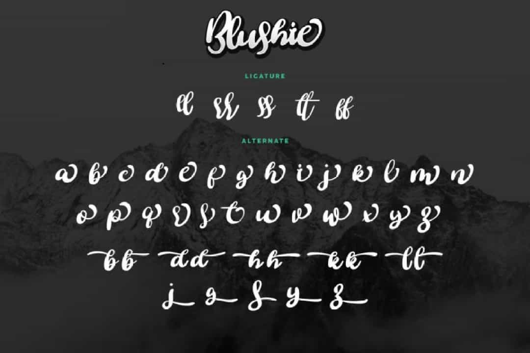 Blushie Font Image 3