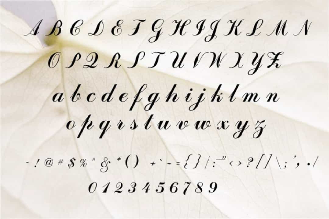 Angelina Font Free Image 2