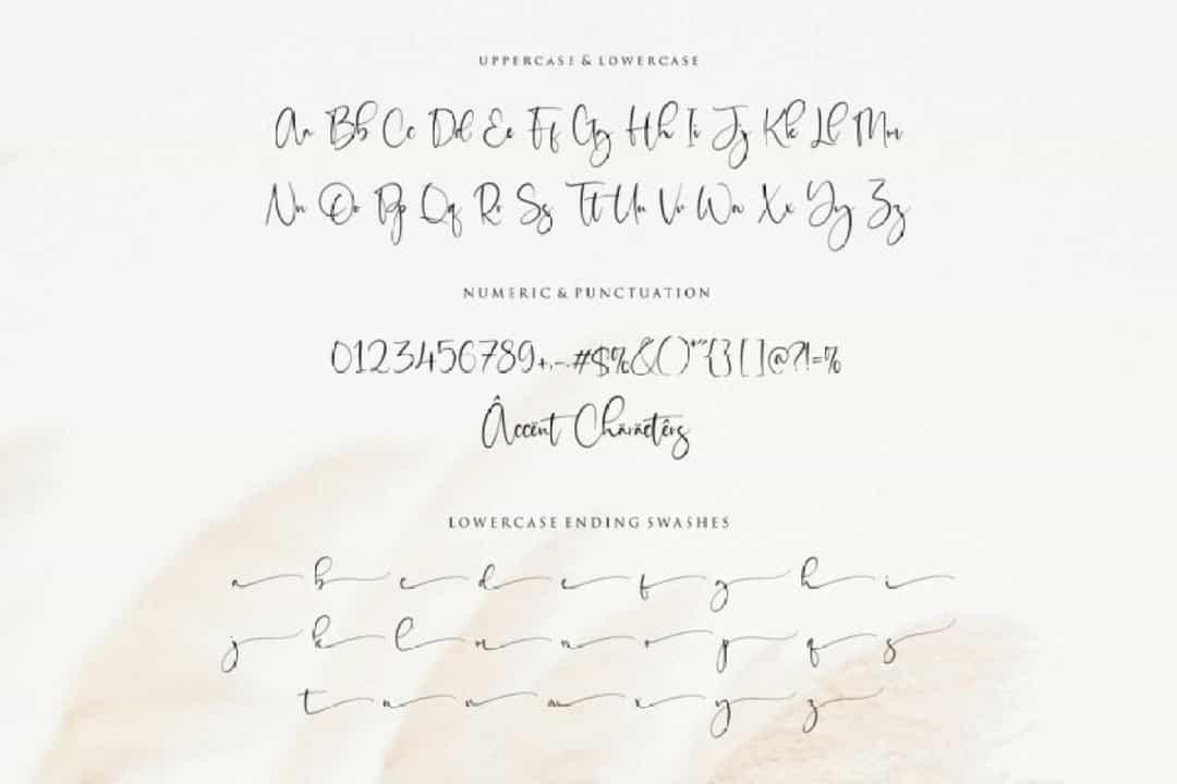 Sisterli Font Image 3