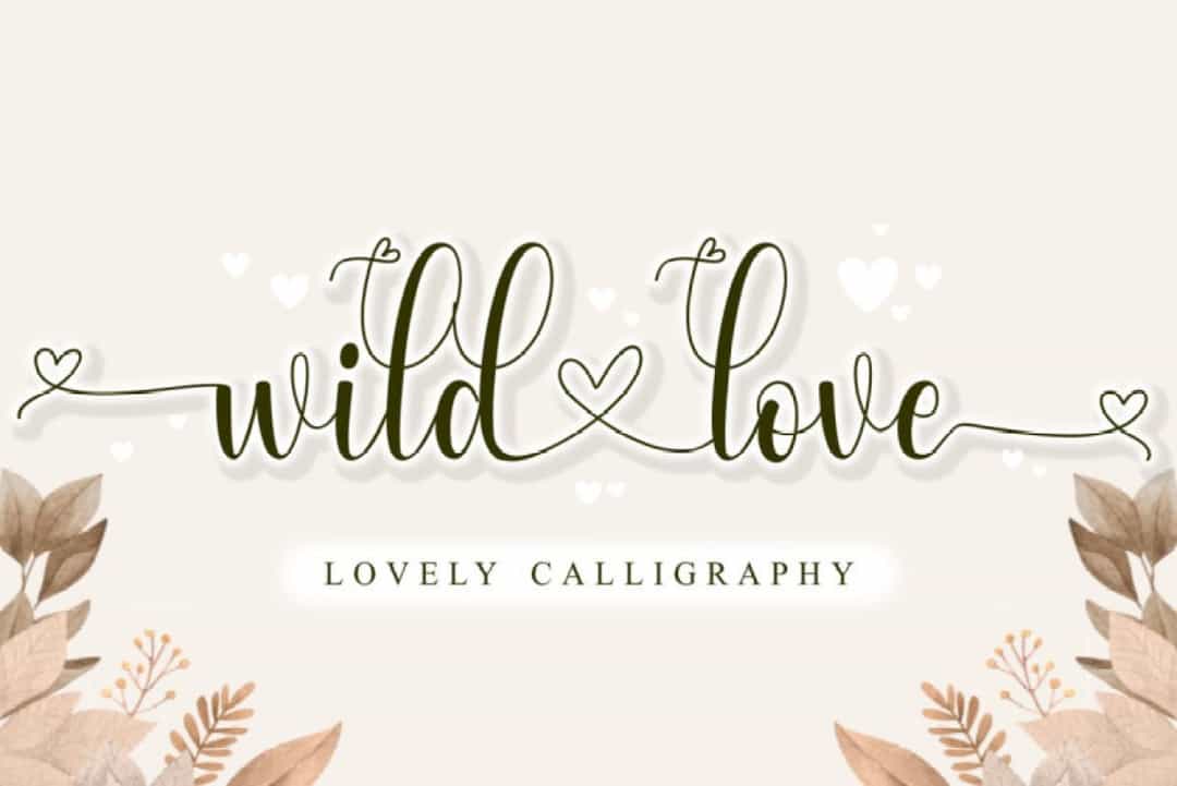 Wild Love Font Image 1