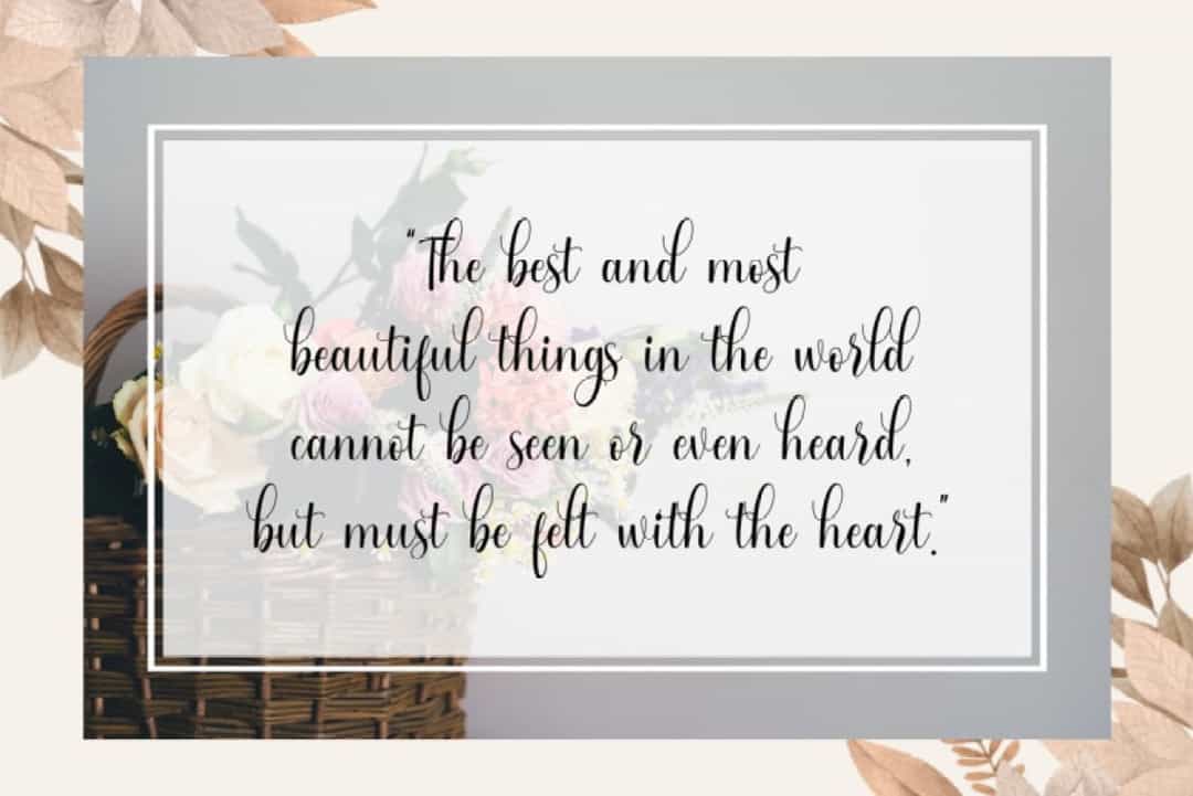 Wild Love Font Image 2