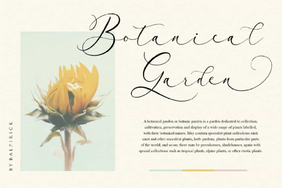 Arletta Font Image 2
