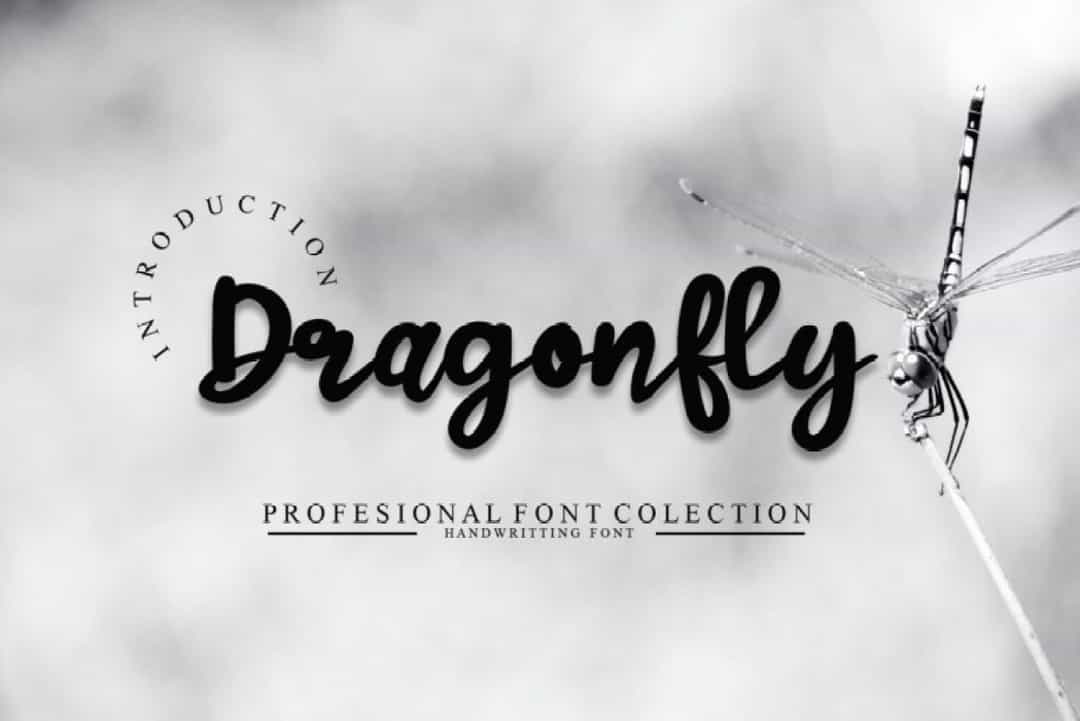 Dragonfly Font Image 1