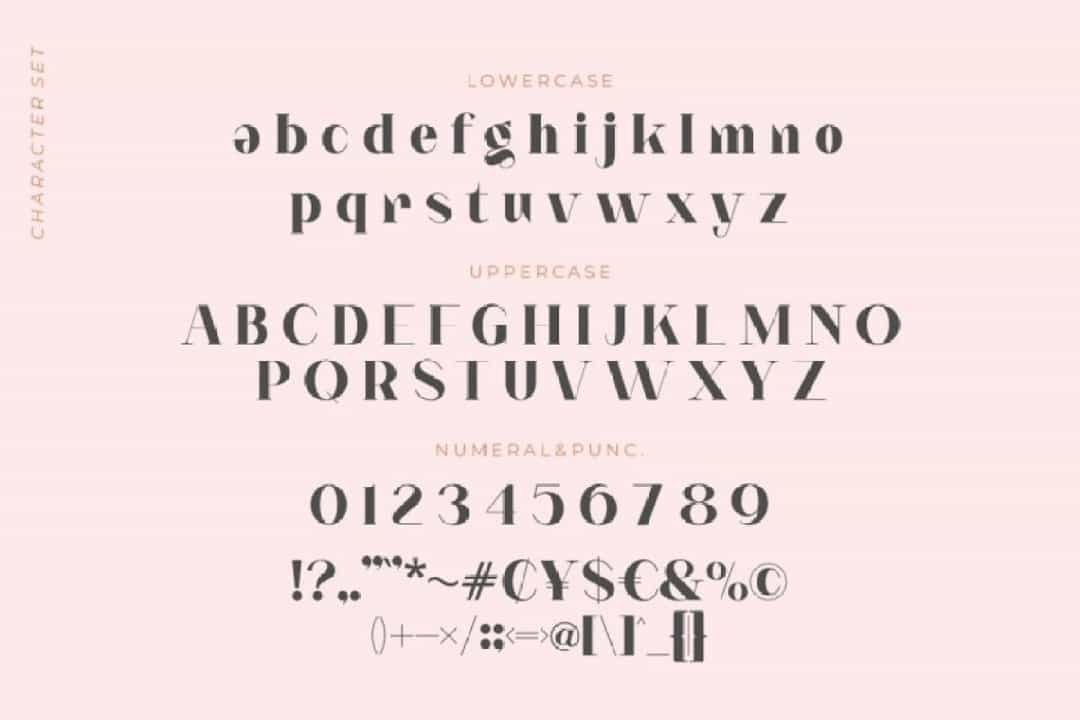 Notted Typeface Image 3