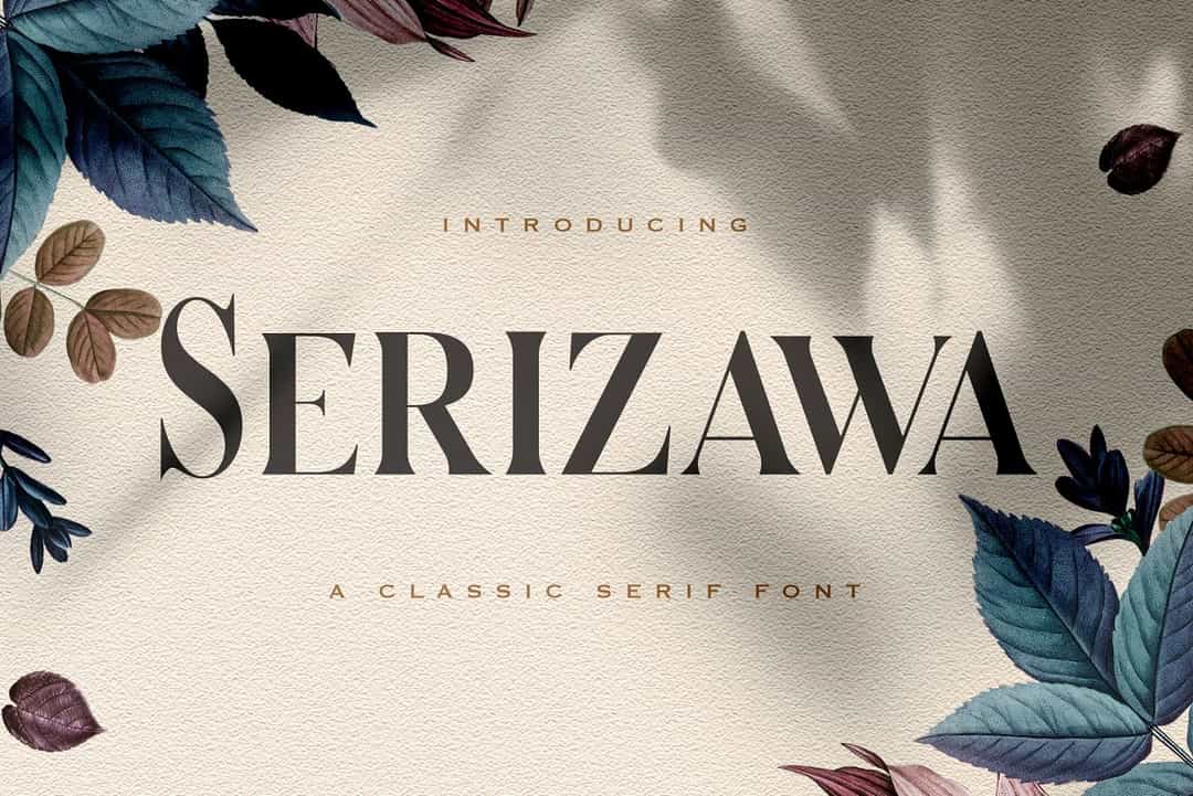 Serizawa Font Image 1