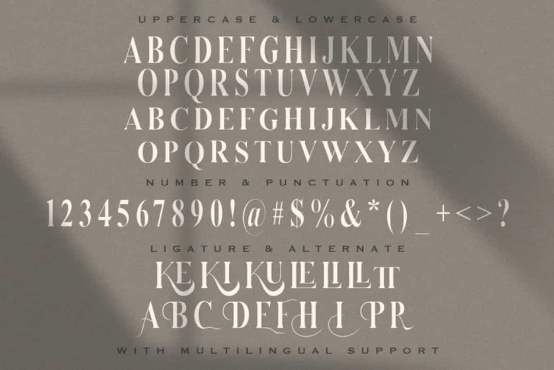 Serizawa Font Image 3