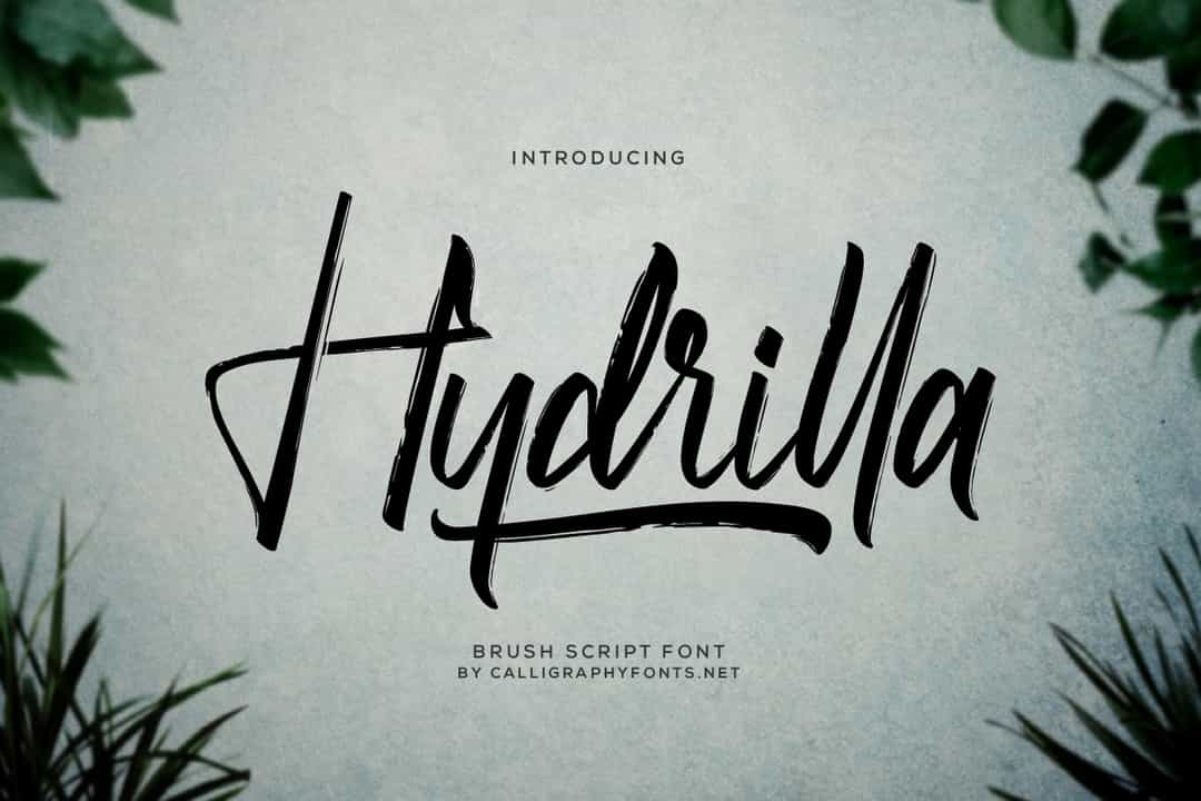 Hydrilla Font Image 1