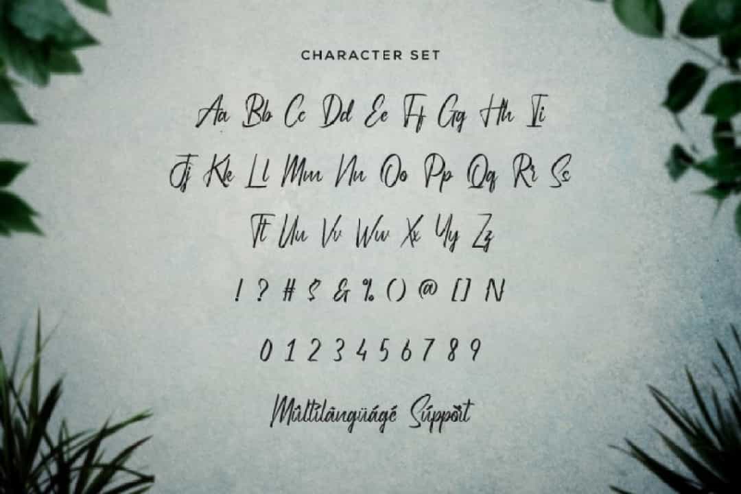 Hydrilla Font Image 3