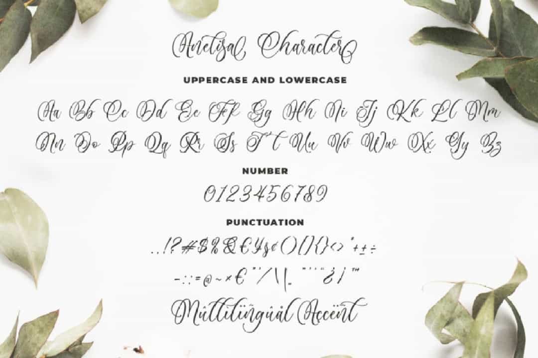 Anelisa Font Image 3