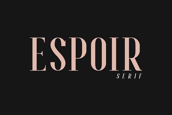Espoir Serif Font Family Image 1