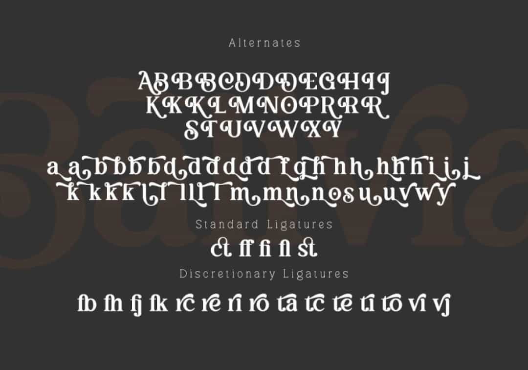 Balivia Font Image 3
