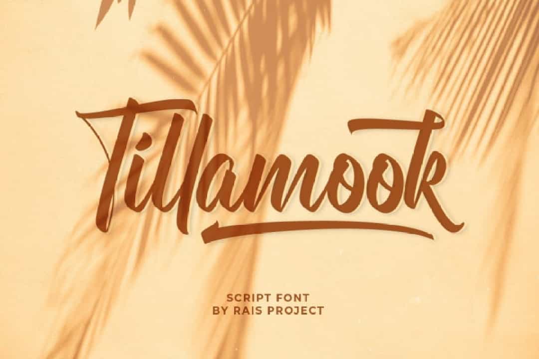 Tillamook Font Image 1