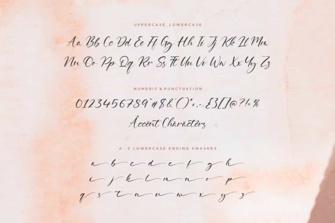 Delmona Font Image 3
