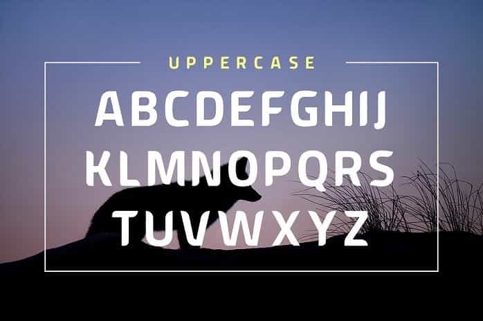 American Fox Font Image 2