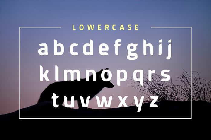 American Fox Font Image 3