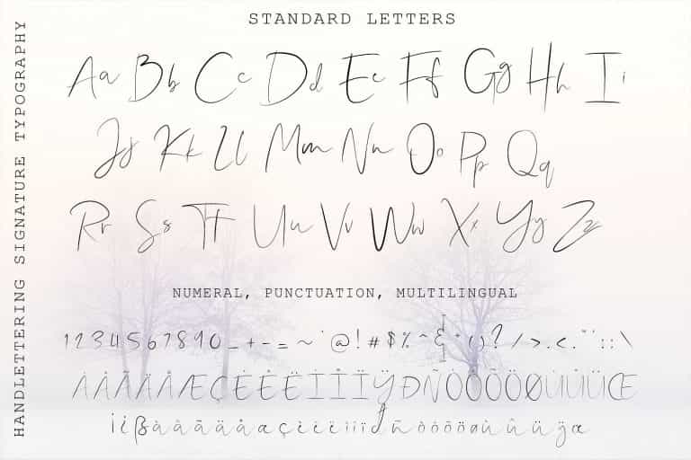 Shallou Signature Font Image 2