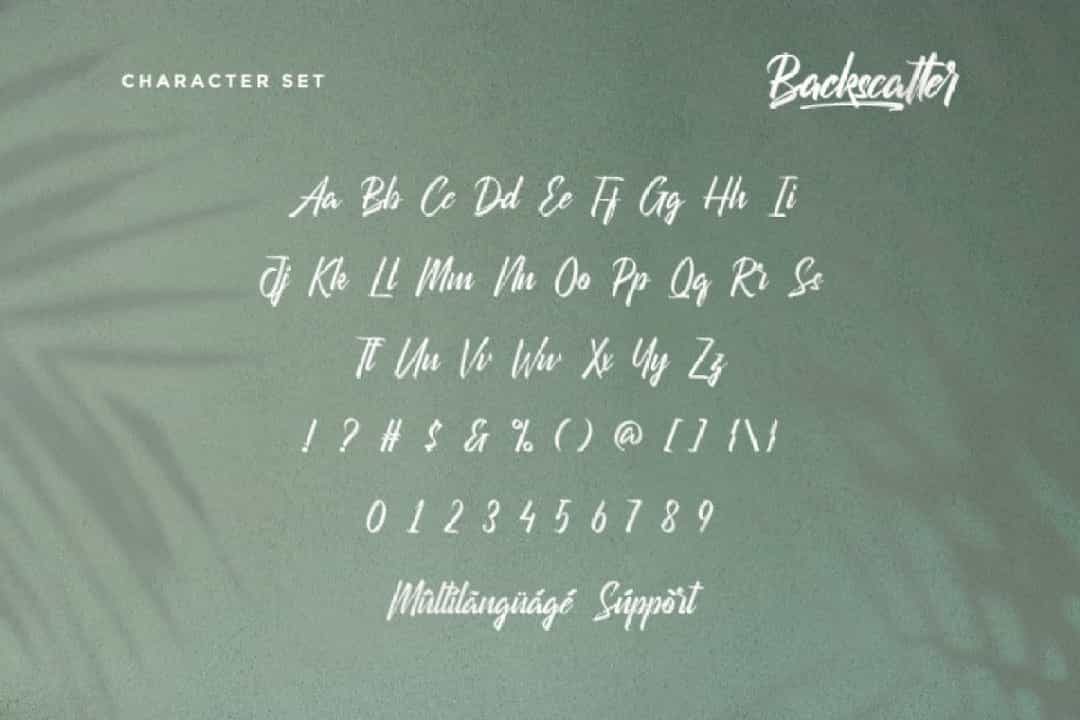 Backscatter Font Image 3