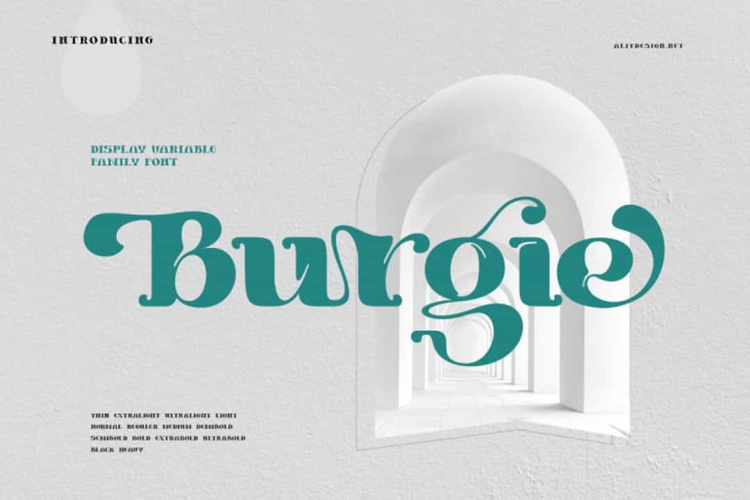 Burgie Font Image 1