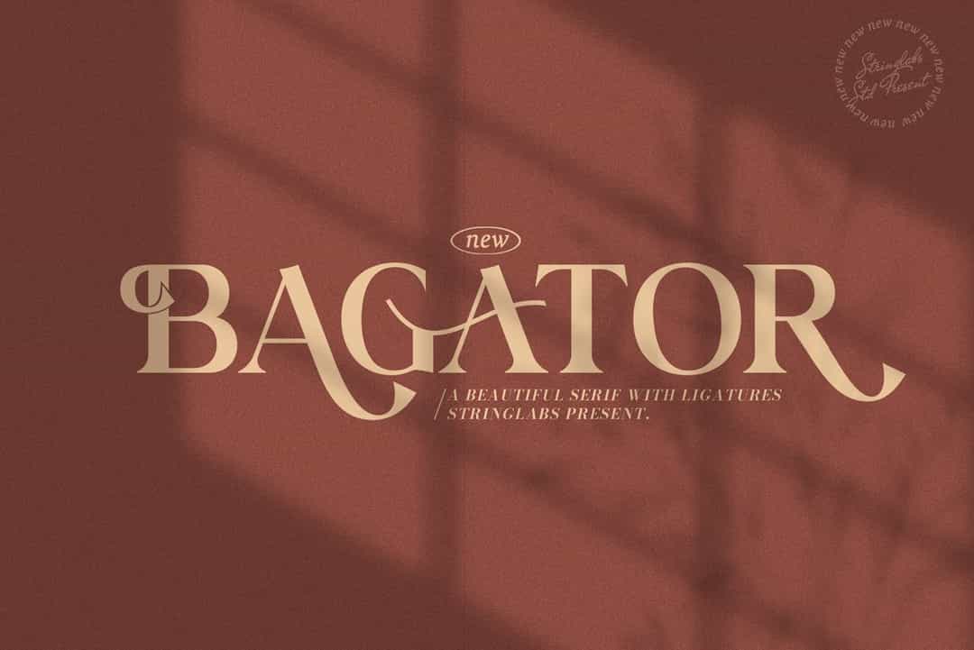 Bagator Font Image 1