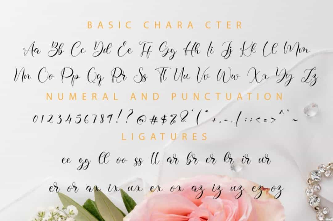 Lissa Font Image 3