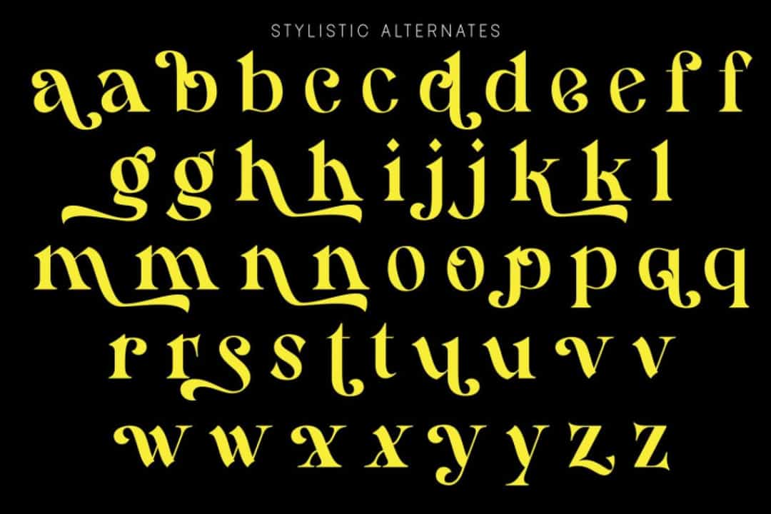 Hamachi Font Image 3