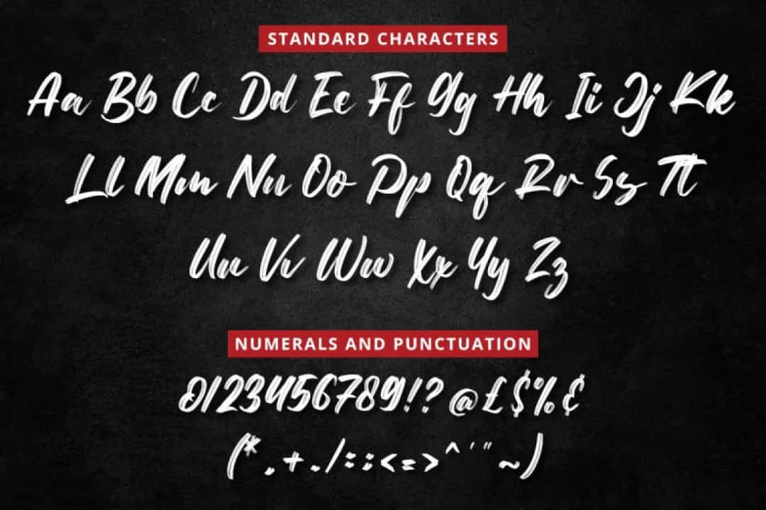 Netto Brushes Font Image 3