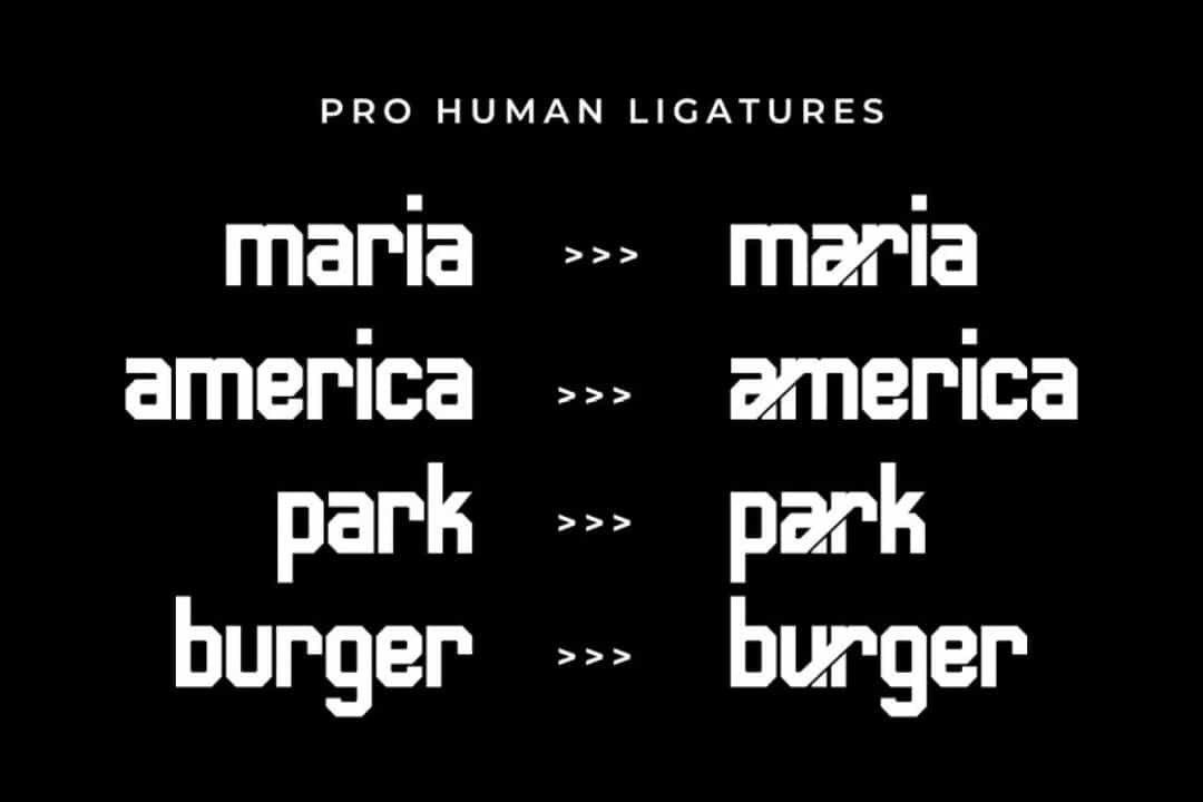 Human Font Image 2