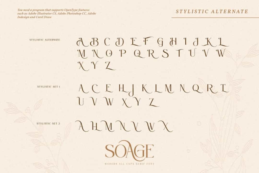 Soage Font Image 3