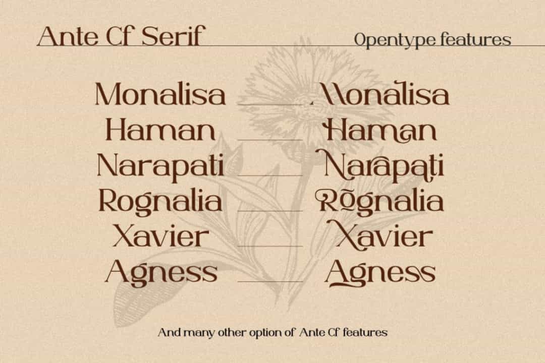 Ante Cf Font Image 3