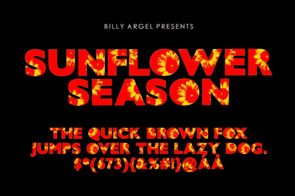 Sunflower Season Font Image 2