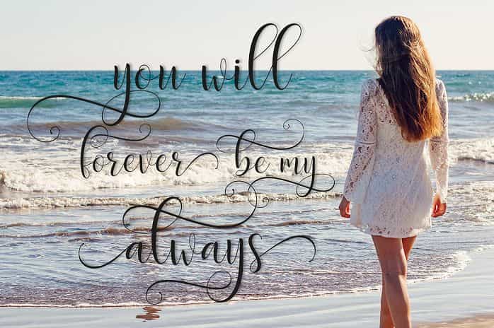 Delight Script Font Image 2