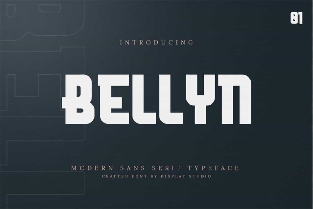 Bellyn Font Image 1